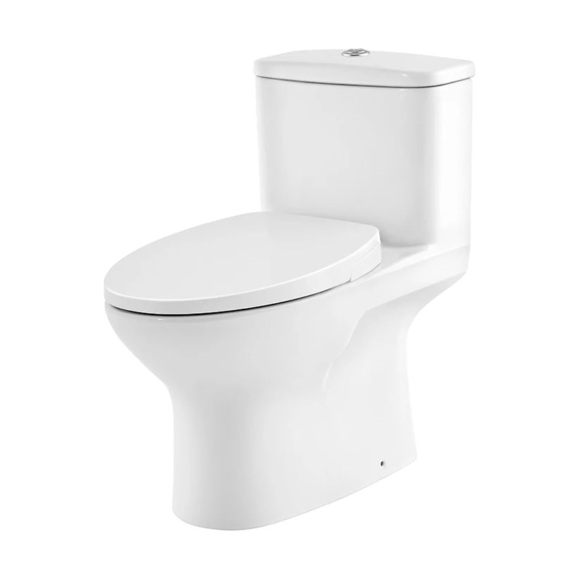 Ảnh Bồn cầu nắp rửa cơ Cotto C105337(CN5) 2