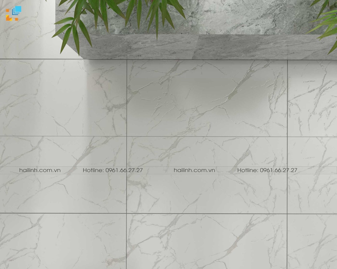 Ảnh Gạch Ấn Độ CSI612101 60x120 3