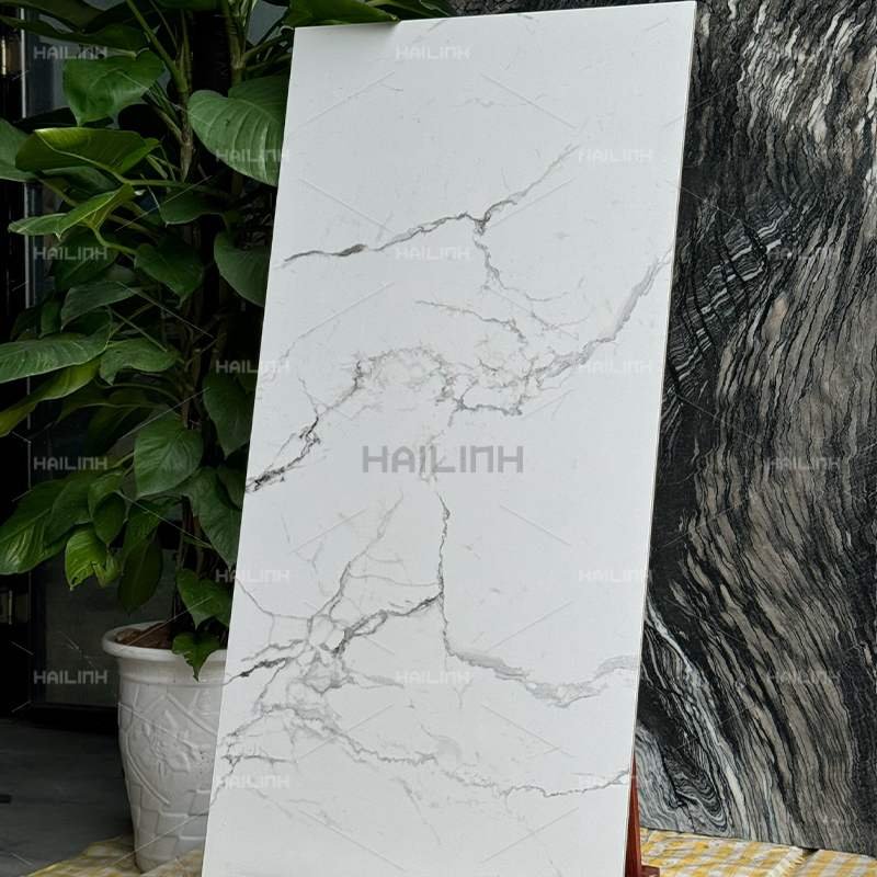 Ảnh Gạch Ấn Độ CSI612175 8