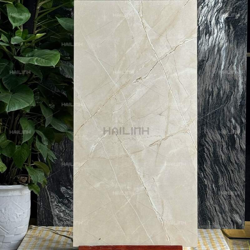 Ảnh Gạch Ấn Độ CSI612176 5