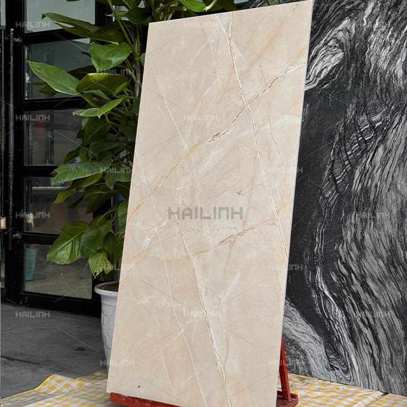 Ảnh Gạch Ấn Độ CSI612176 6