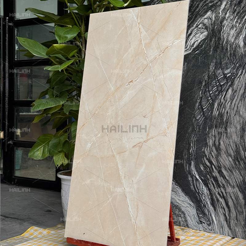 Ảnh Gạch Ấn Độ CSI612176 6