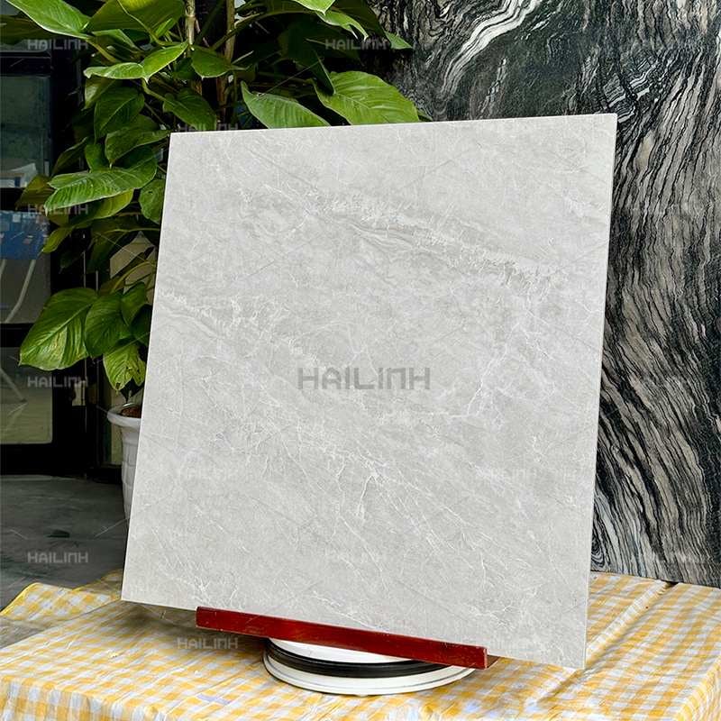 Ảnh Gạch Ấn Độ CSI88151 2