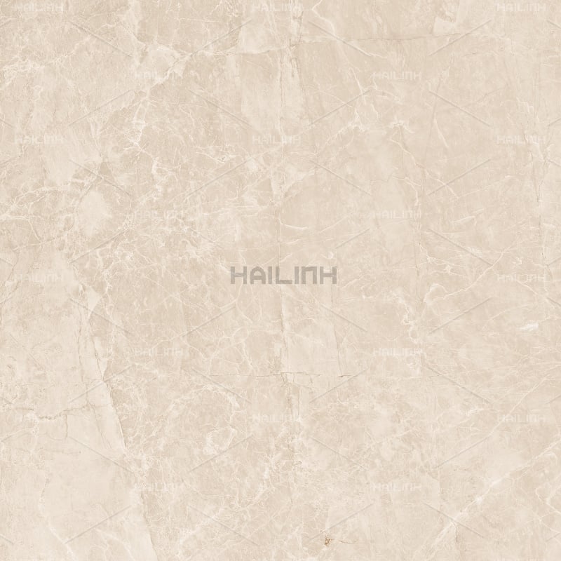 Ảnh Gạch Ấn Độ CSI88152 2