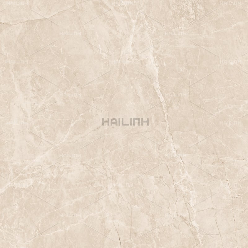 Ảnh Gạch Ấn Độ CSI88152 3