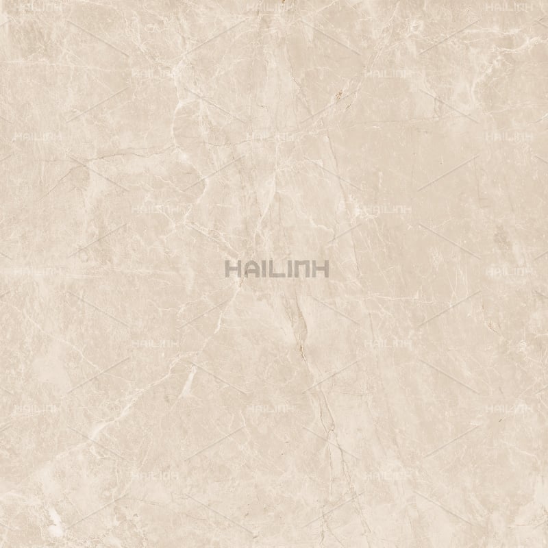 Ảnh Gạch Ấn Độ CSI88152 4