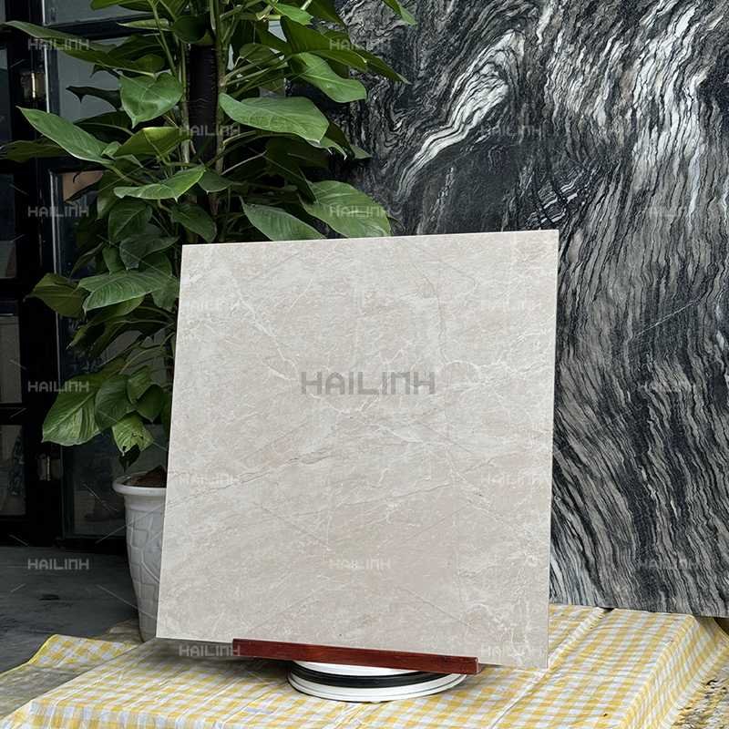 Ảnh Gạch Ấn Độ CSI88152 5