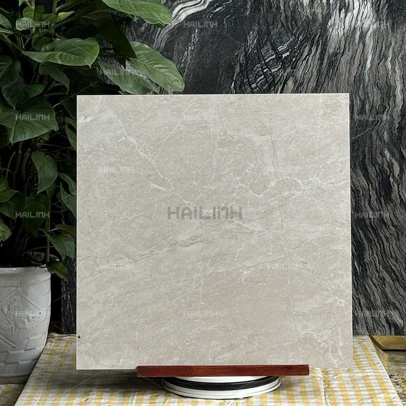 Ảnh Gạch Ấn Độ CSI88152 6