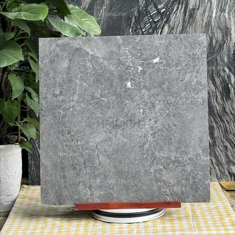 Ảnh Gạch Ấn Độ CSI88153 5