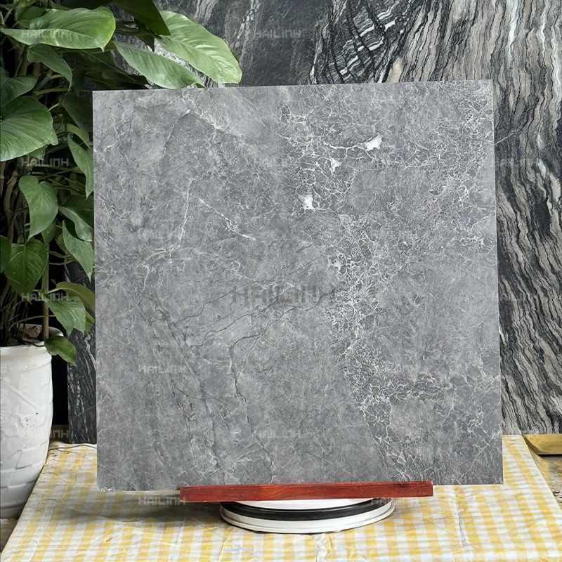 Ảnh Gạch Ấn Độ CSI88153 5