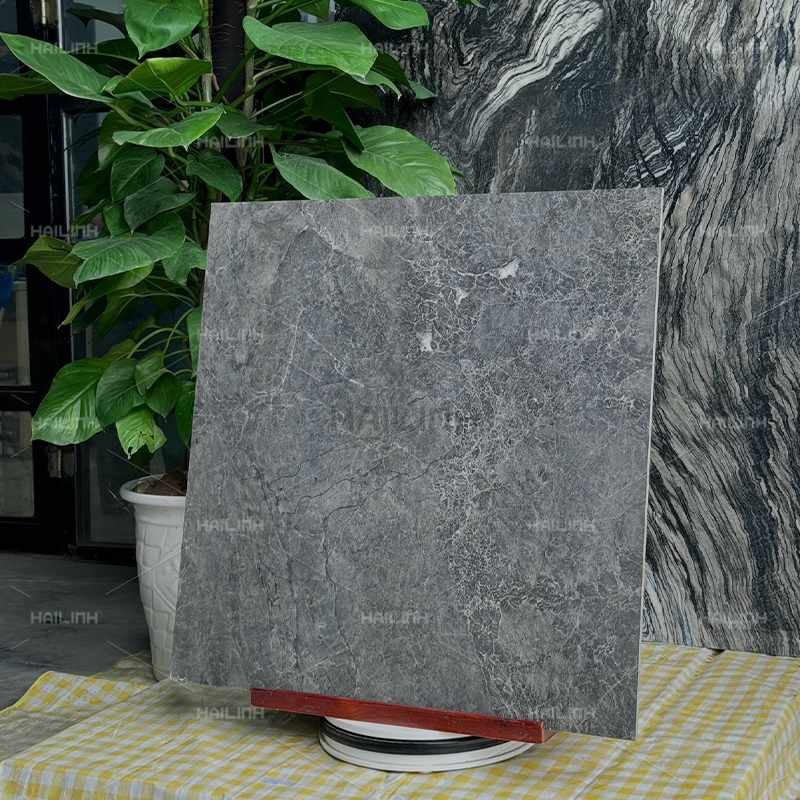 Ảnh Gạch Ấn Độ CSI88153 6