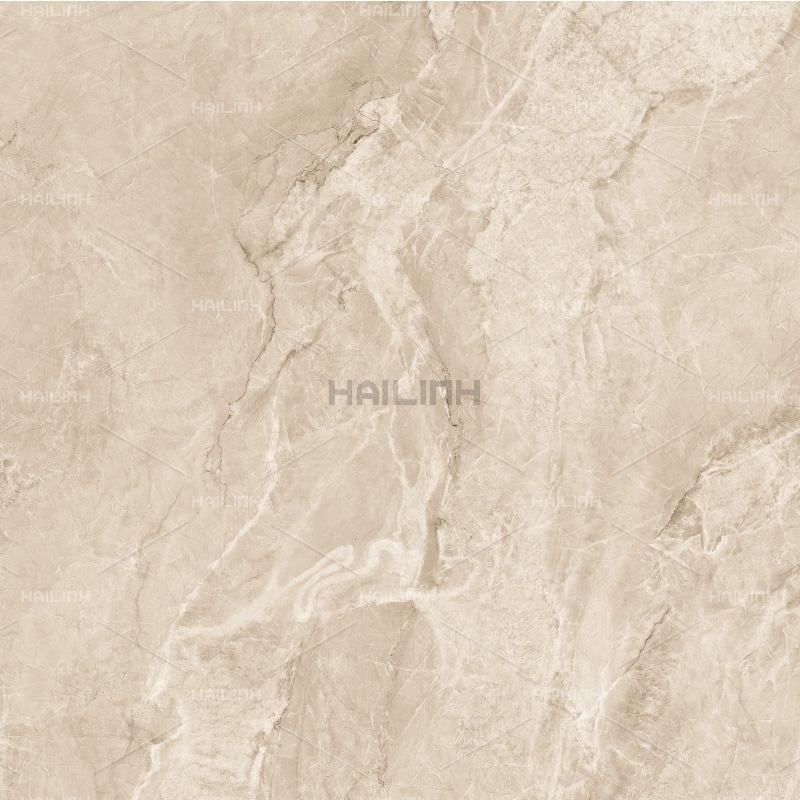 Ảnh Gạch Ấn Độ CSI88154 3