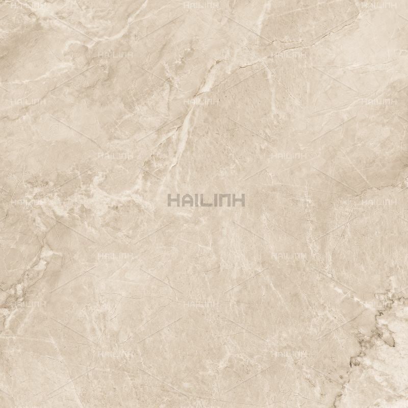 Ảnh Gạch Ấn Độ CSI88154 4