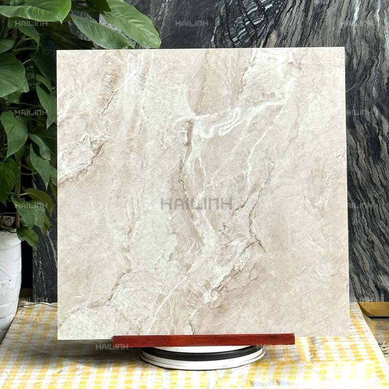 Ảnh Gạch Ấn Độ CSI88154 5