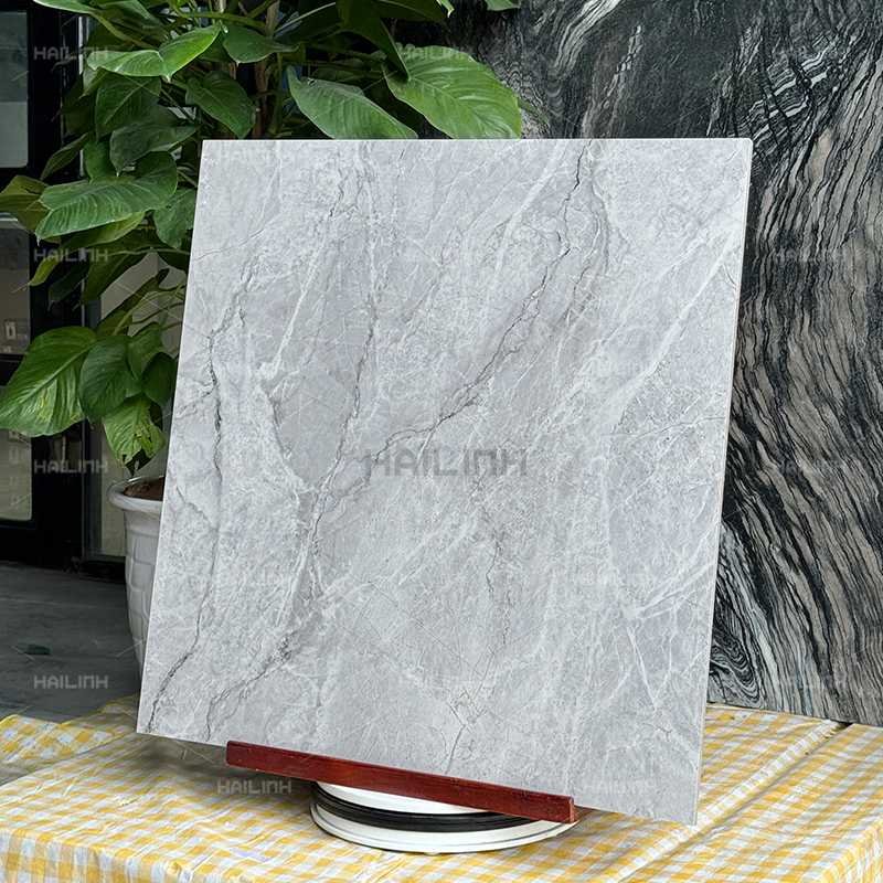 Ảnh Gạch Ấn Độ CSI88156 7