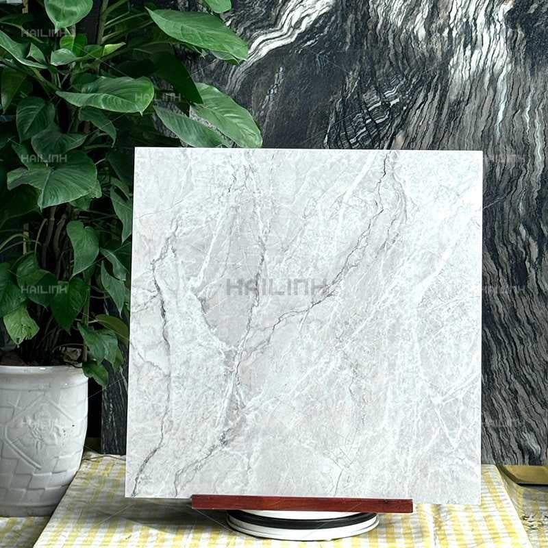 Ảnh Gạch Ấn Độ CSI88156 6