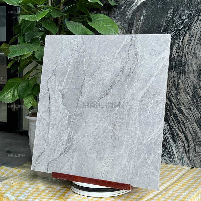 Ảnh Gạch Ấn Độ CSI88156 6