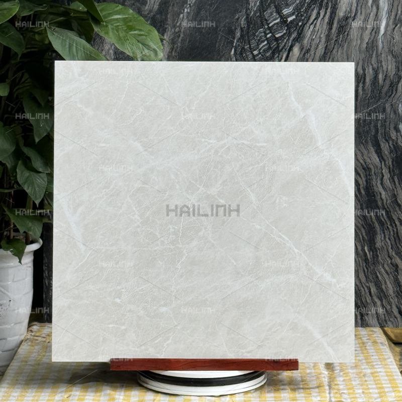 Ảnh Gạch Ấn Độ CSI88177 3