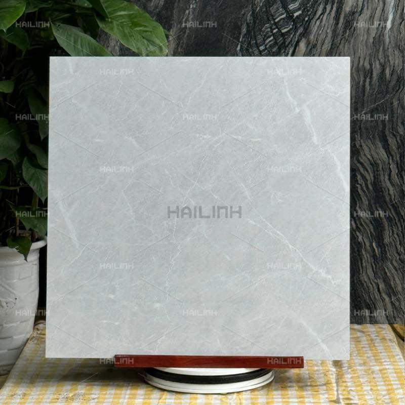 Ảnh Gạch Ấn Độ CSI88178 5