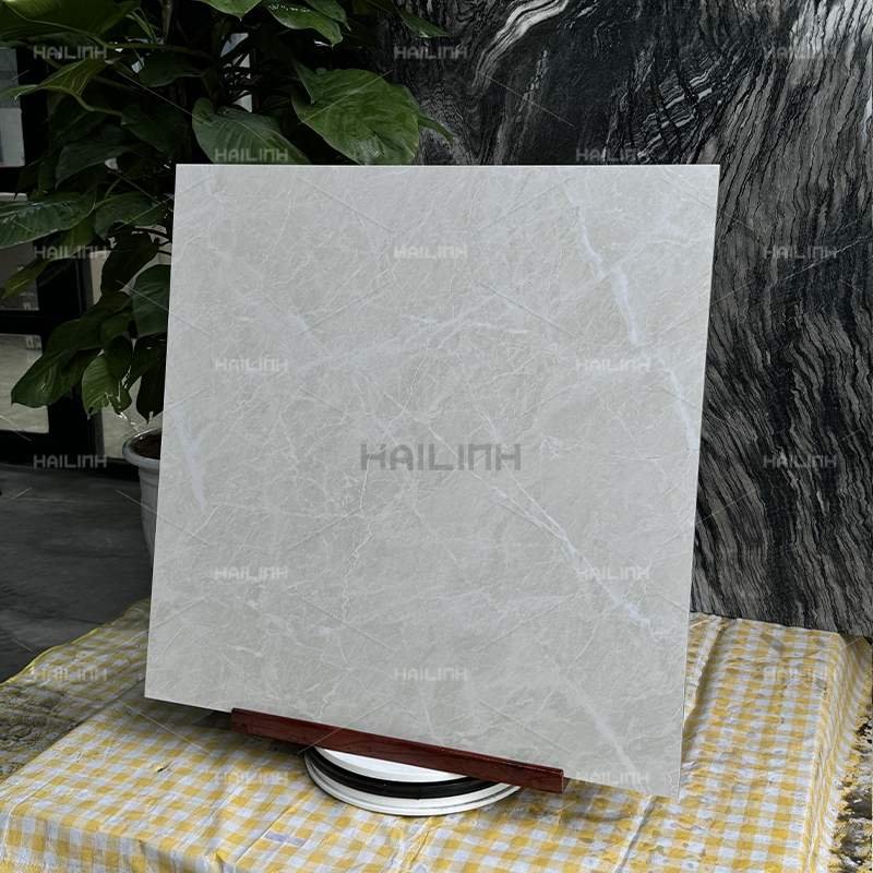 Ảnh Gạch Ấn Độ CSI88178 6