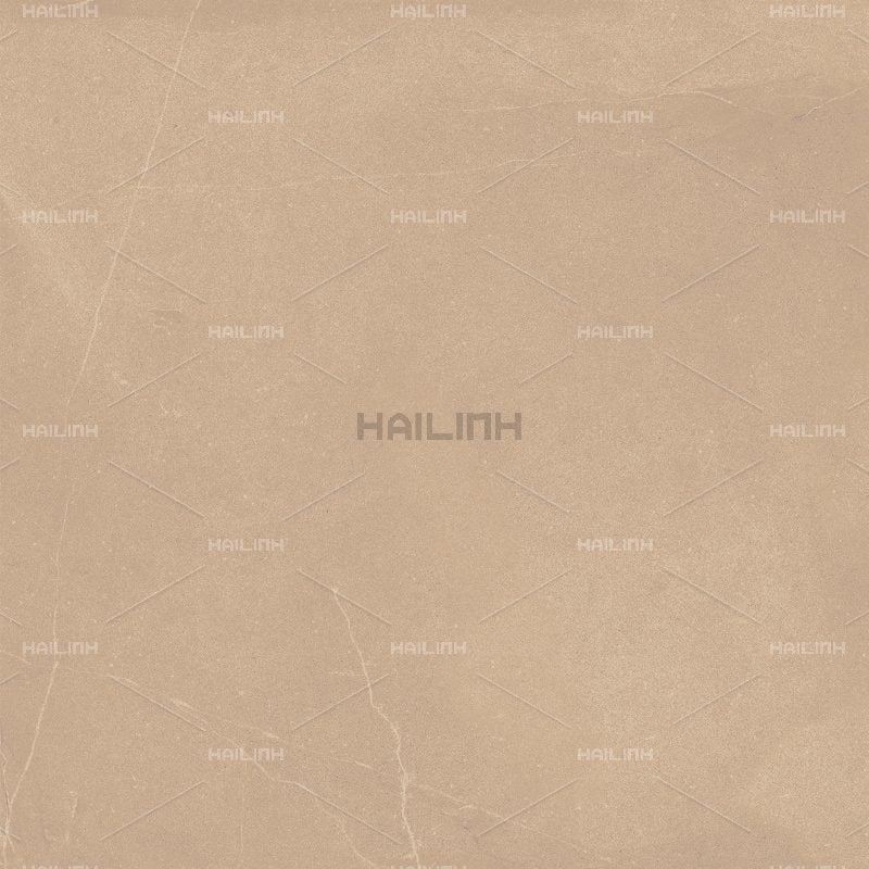 Ảnh Gạch Ấn Độ CSI88179 4