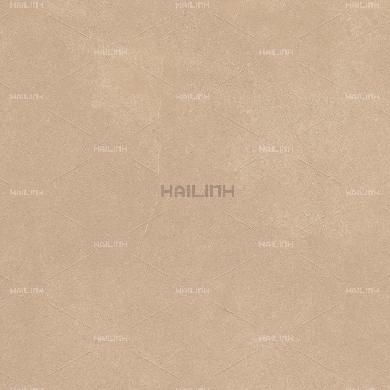 Ảnh Gạch Ấn Độ CSI88179 3