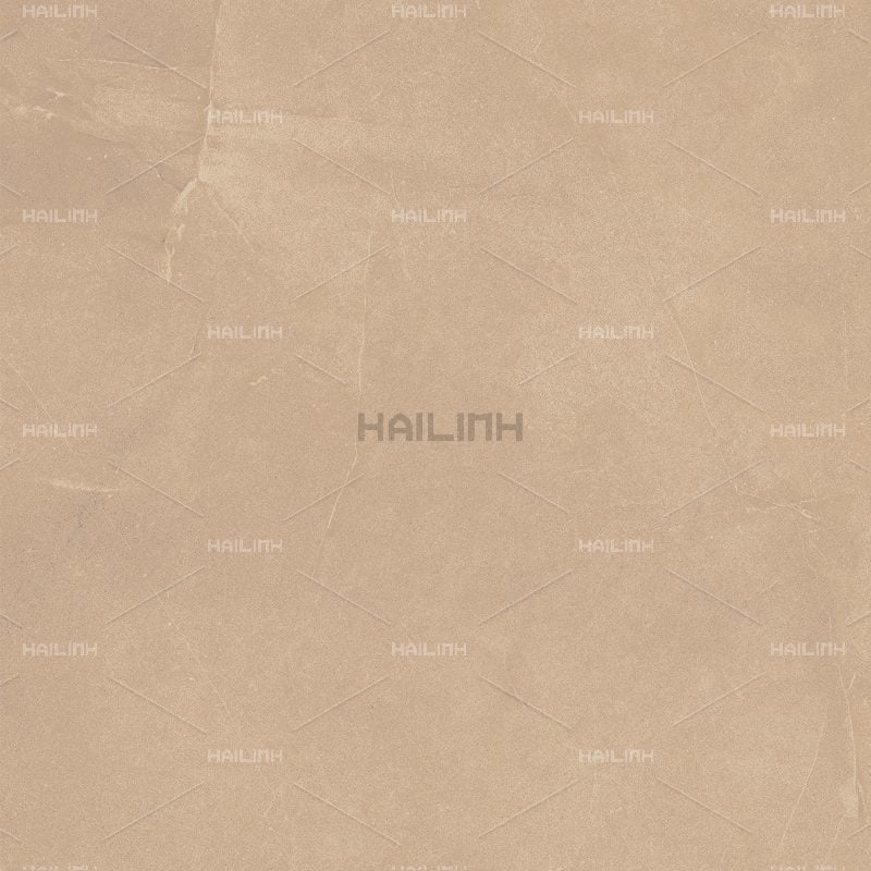 Ảnh Gạch Ấn Độ CSI88179 2