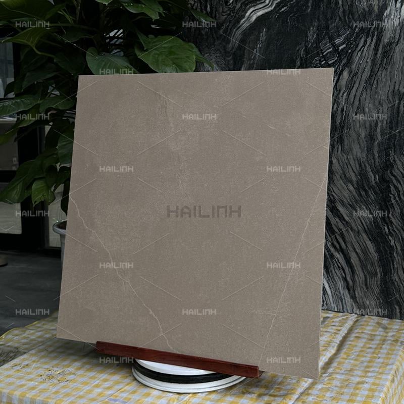 Ảnh Gạch Ấn Độ CSI88179 6