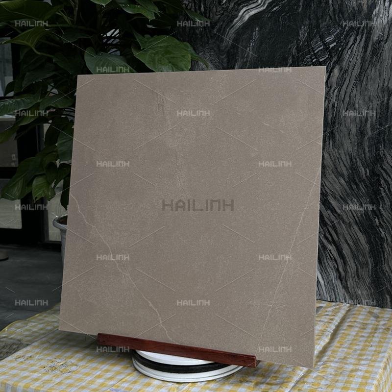 Ảnh Gạch Ấn Độ CSI88179 6