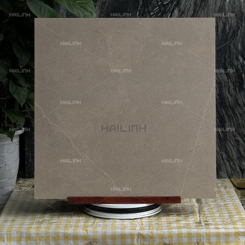 Ảnh Gạch Ấn Độ CSI88179 7