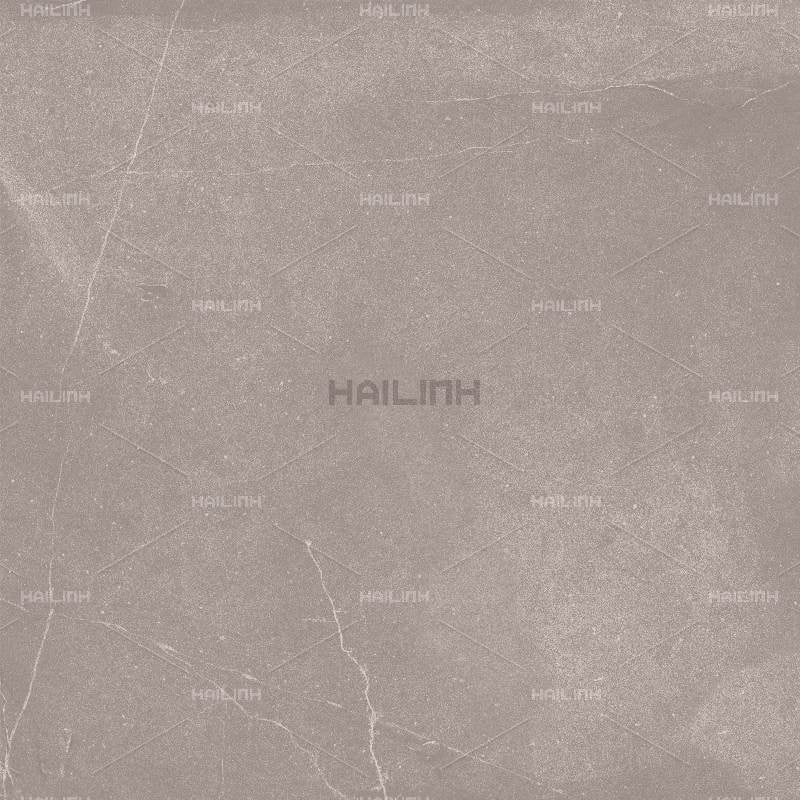 Ảnh Gạch Ấn Độ CSI88180 4