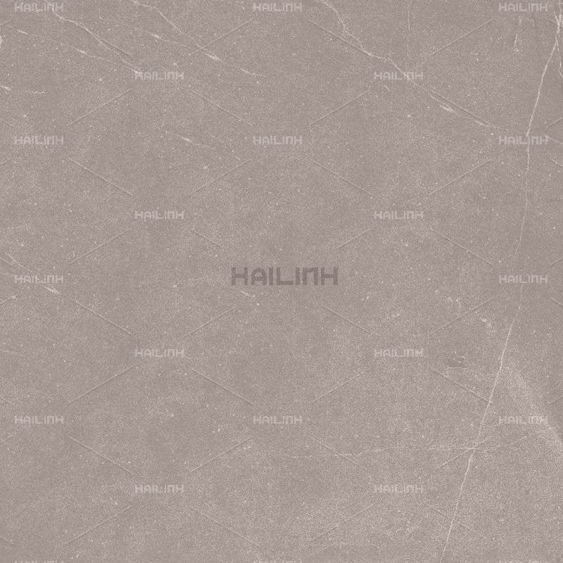 Ảnh Gạch Ấn Độ CSI88180 3