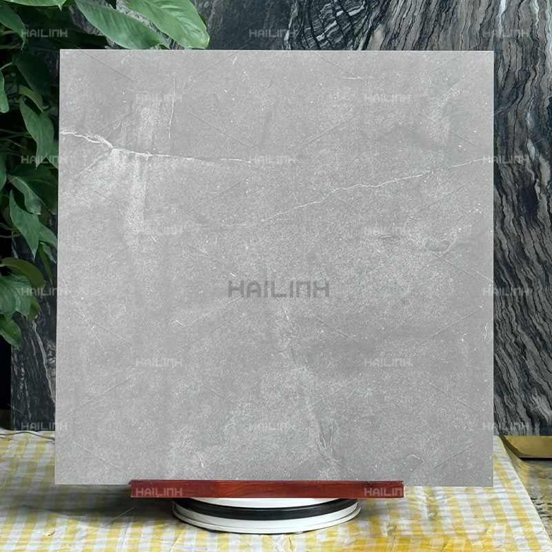 Ảnh Gạch Ấn Độ CSI88180 5