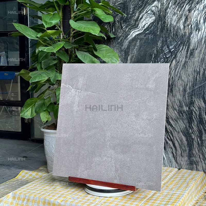 Ảnh Gạch Ấn Độ CSI88180 7