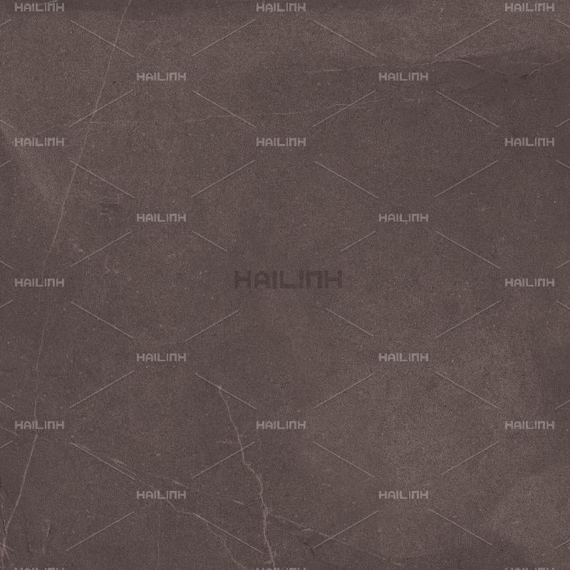 Ảnh Gạch Ấn Độ CSI88181 4