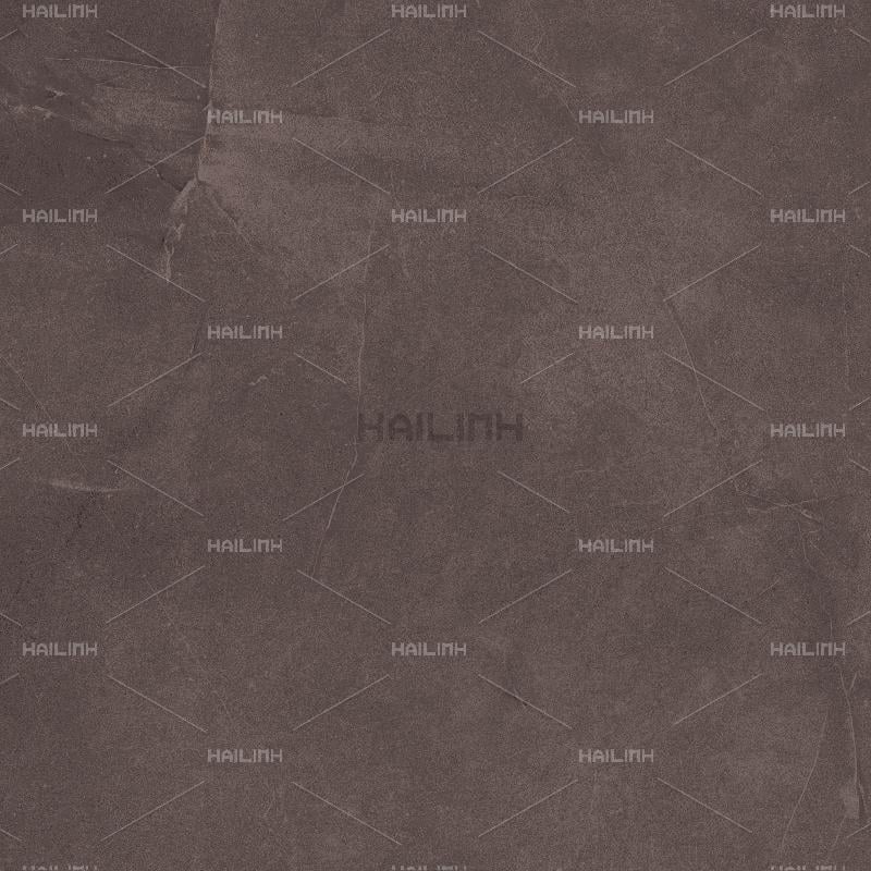 Ảnh Gạch Ấn Độ CSI88181 2