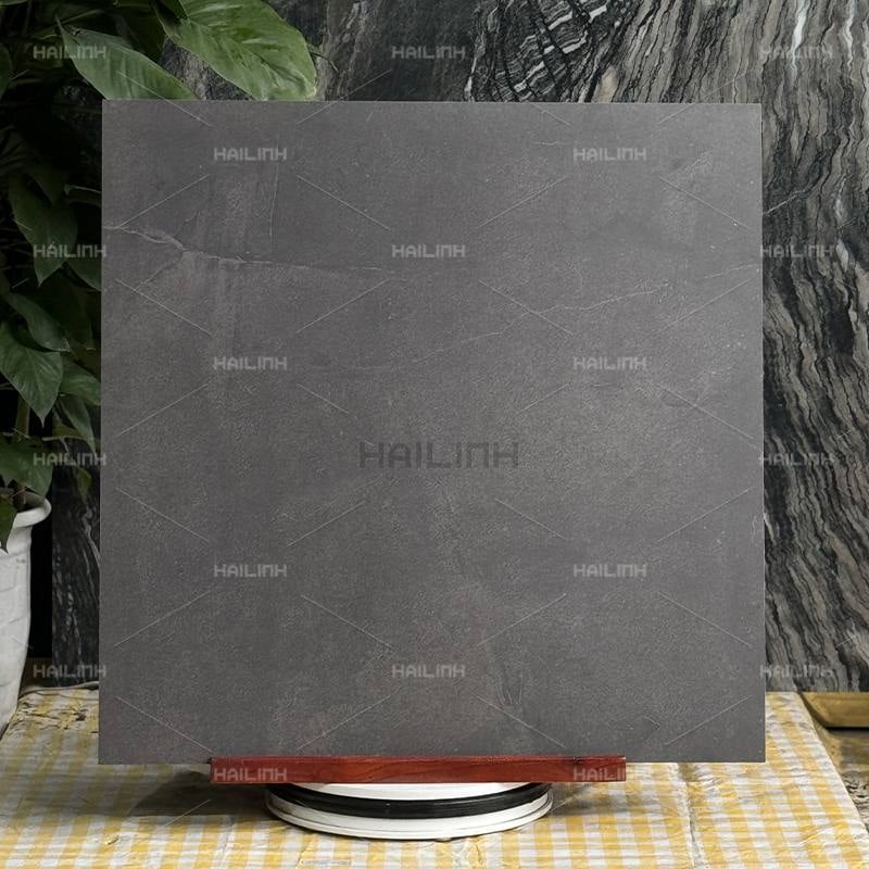 Ảnh Gạch Ấn Độ CSI88181 6