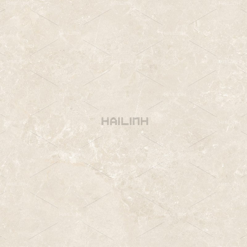 Ảnh Gạch Ấn Độ CSI88182 2