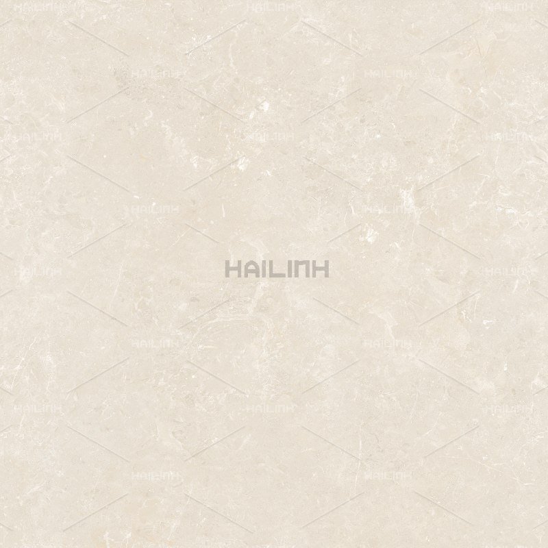 Ảnh Gạch Ấn Độ CSI88182 3