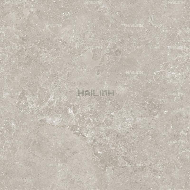 Ảnh Gạch Ấn Độ CSI88184 4