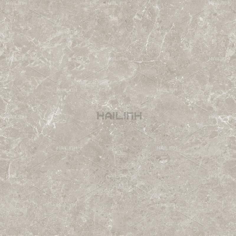 Ảnh Gạch Ấn Độ CSI88184 3