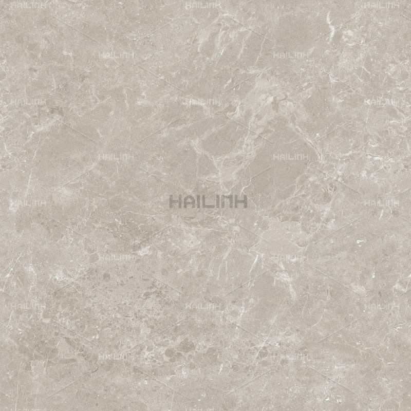 Ảnh Gạch Ấn Độ CSI88184 4