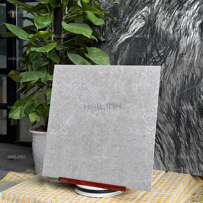 Ảnh Gạch Ấn Độ CSI88184 7