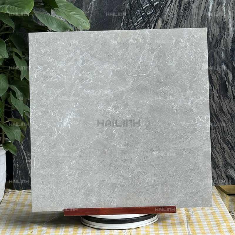Ảnh Gạch Ấn Độ CSI88184 7