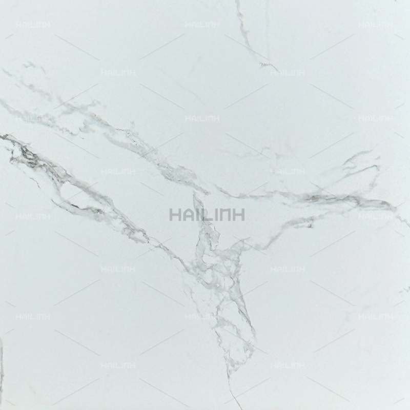 Ảnh Gạch Ấn Độ CSI88185 7