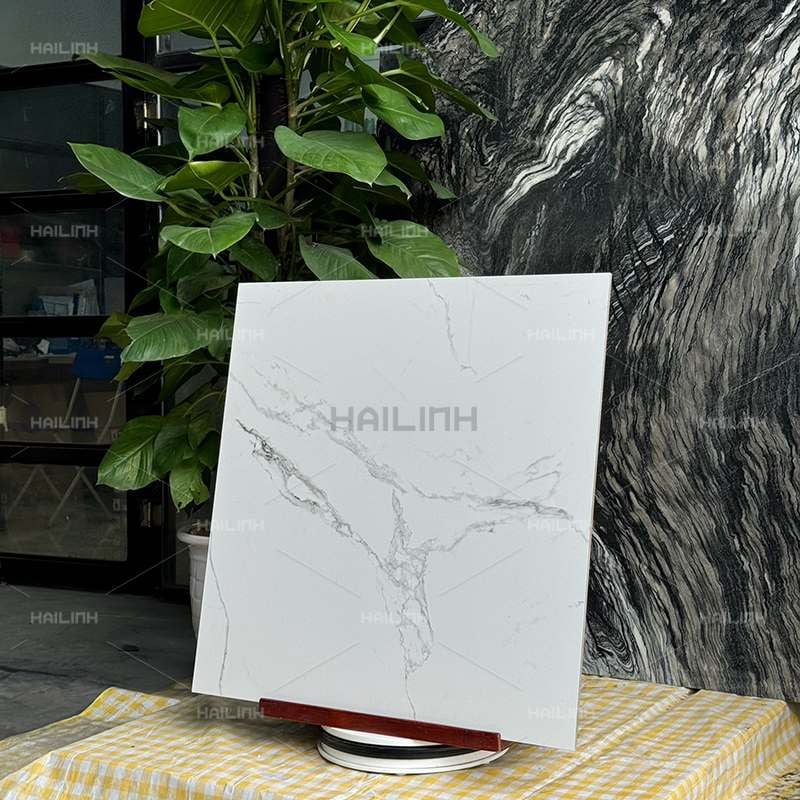 Ảnh Gạch Ấn Độ CSI88185 6