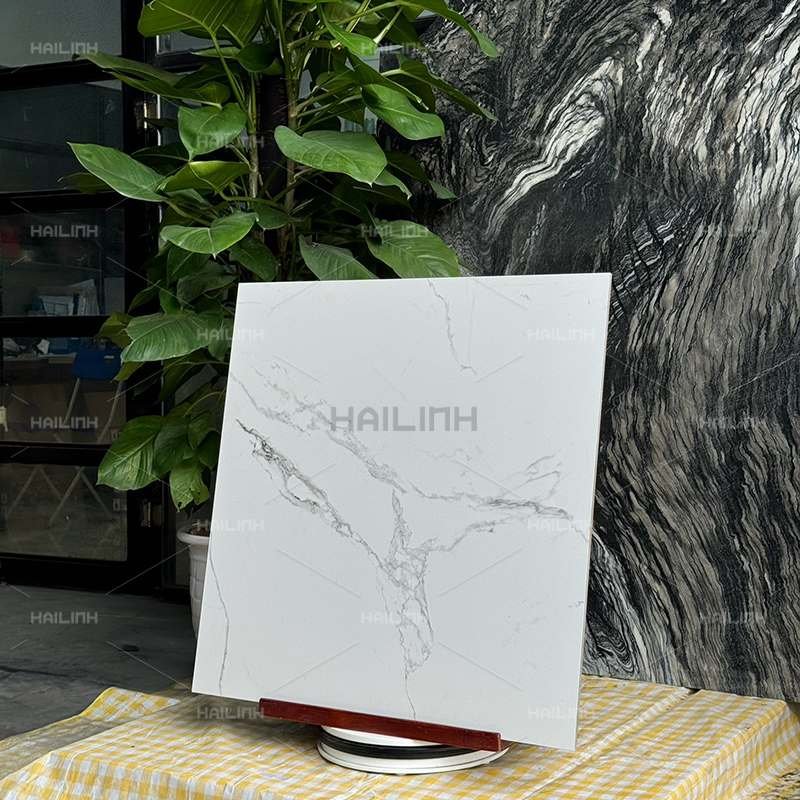 Ảnh Gạch Ấn Độ CSI88185 5