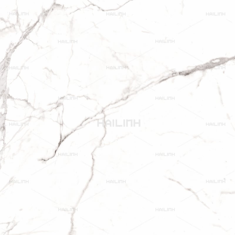 Ảnh Gạch Ấn Độ CSI88185 3