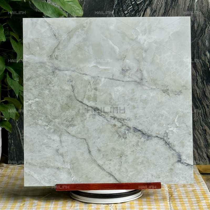 Ảnh Gạch Ấn Độ CSI88186 5