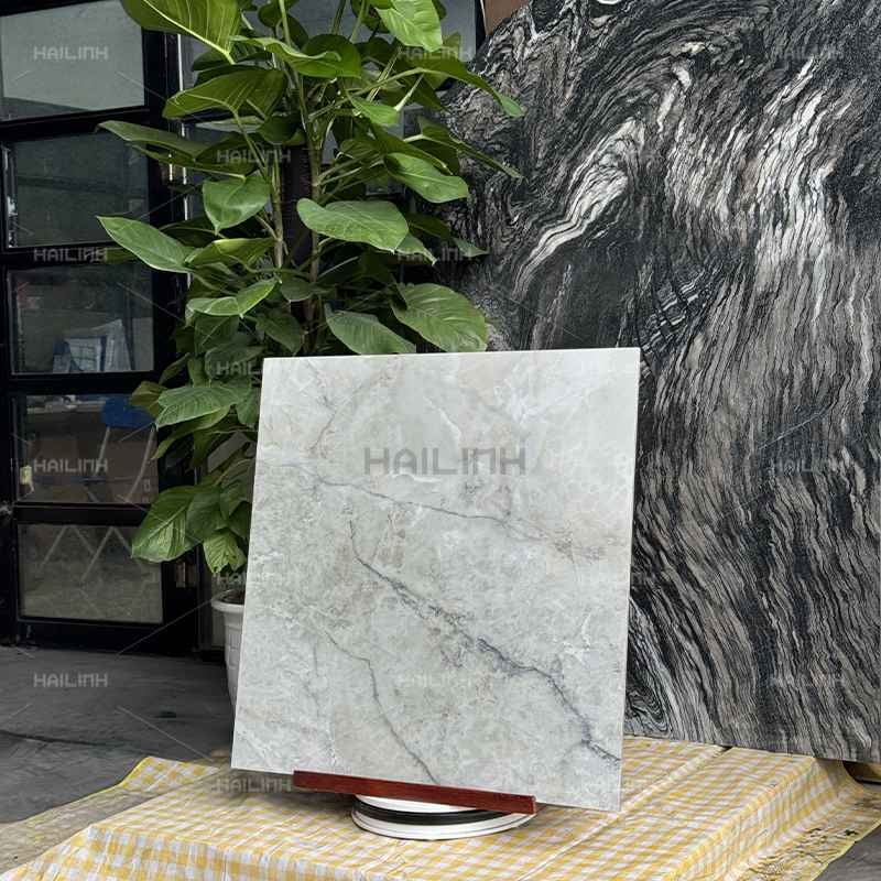 Ảnh Gạch Ấn Độ CSI88186 7